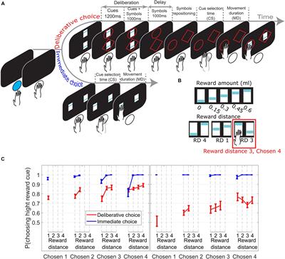 Deliberative Decision-Making in Macaques Removes Reward-Driven Response Vigor